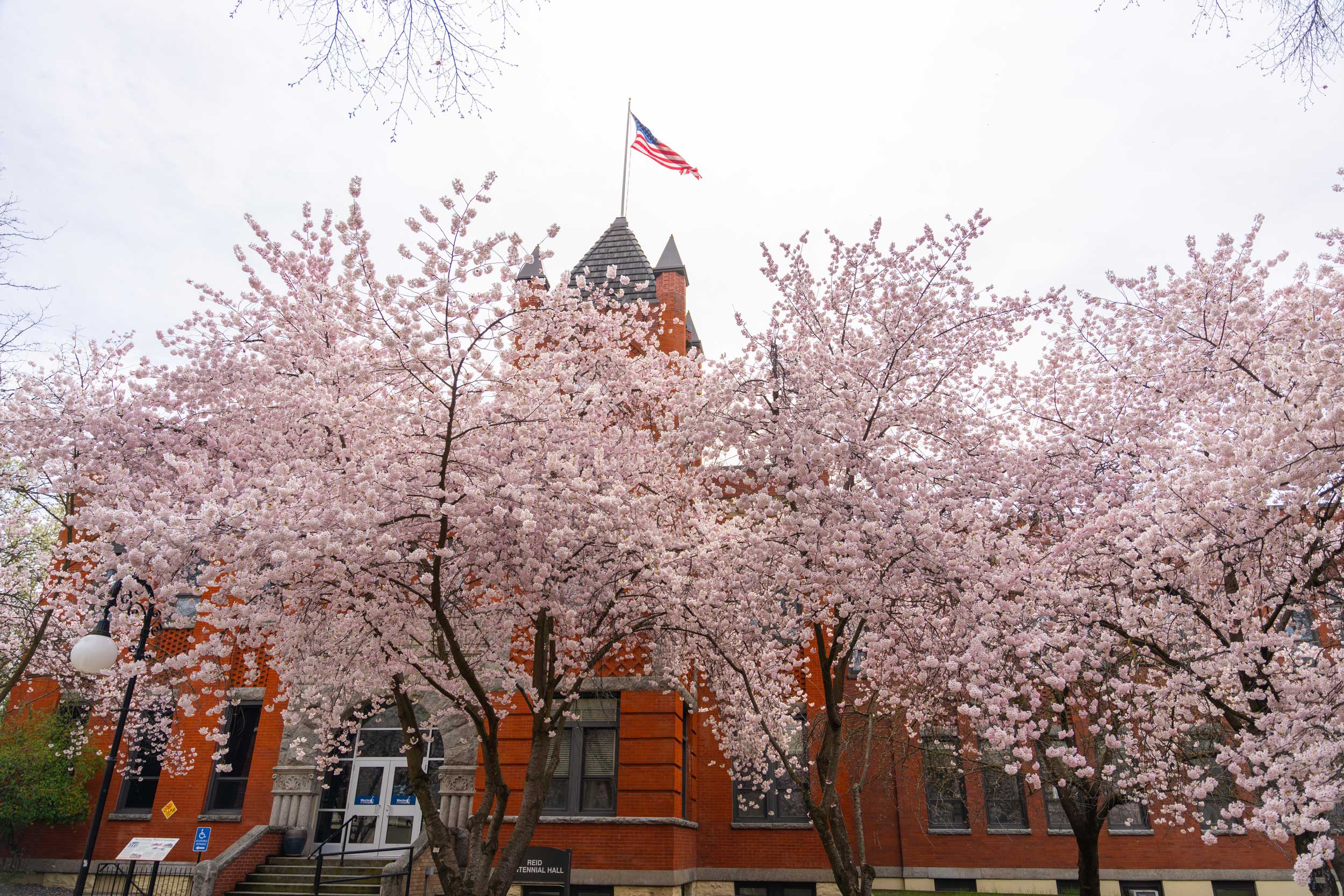 Clocktower during spring