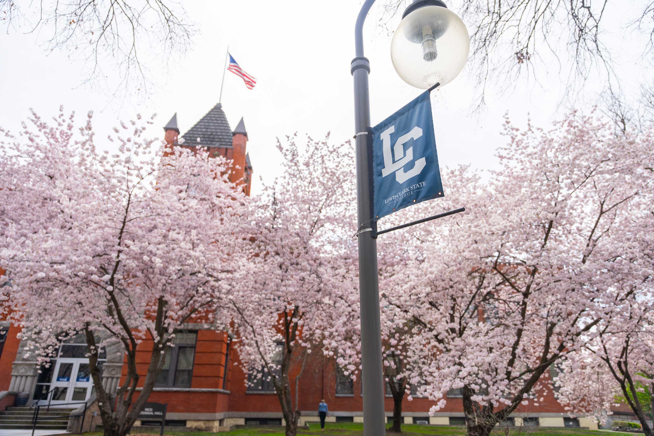 U.S. flag on Reid Centennial Hall