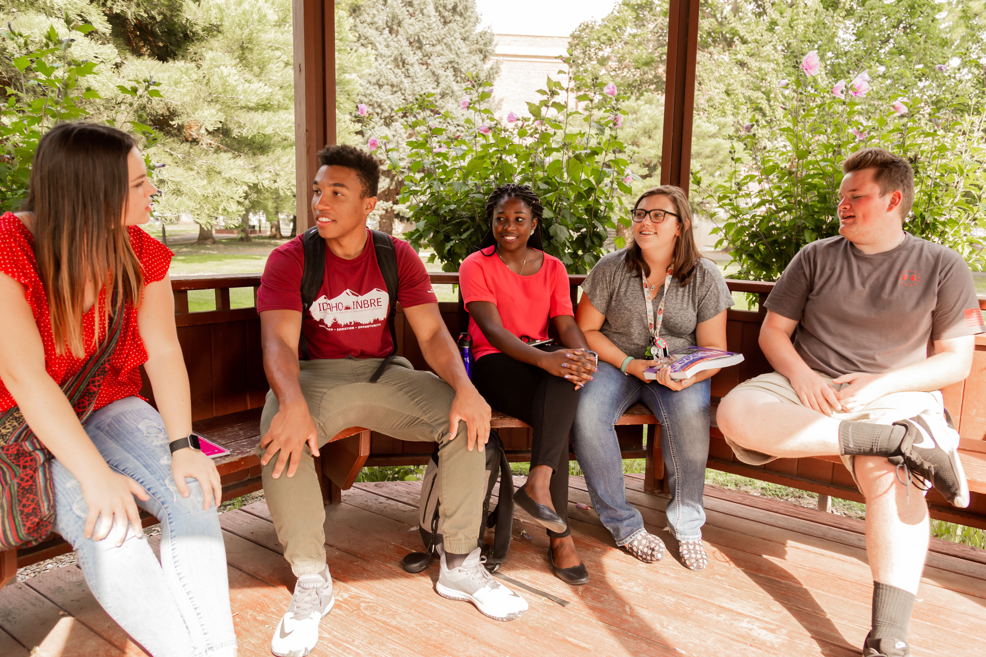 Students sitting in the gazebo 