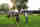 Students Multiusefield Games
