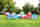 Students Multiusefield Games
