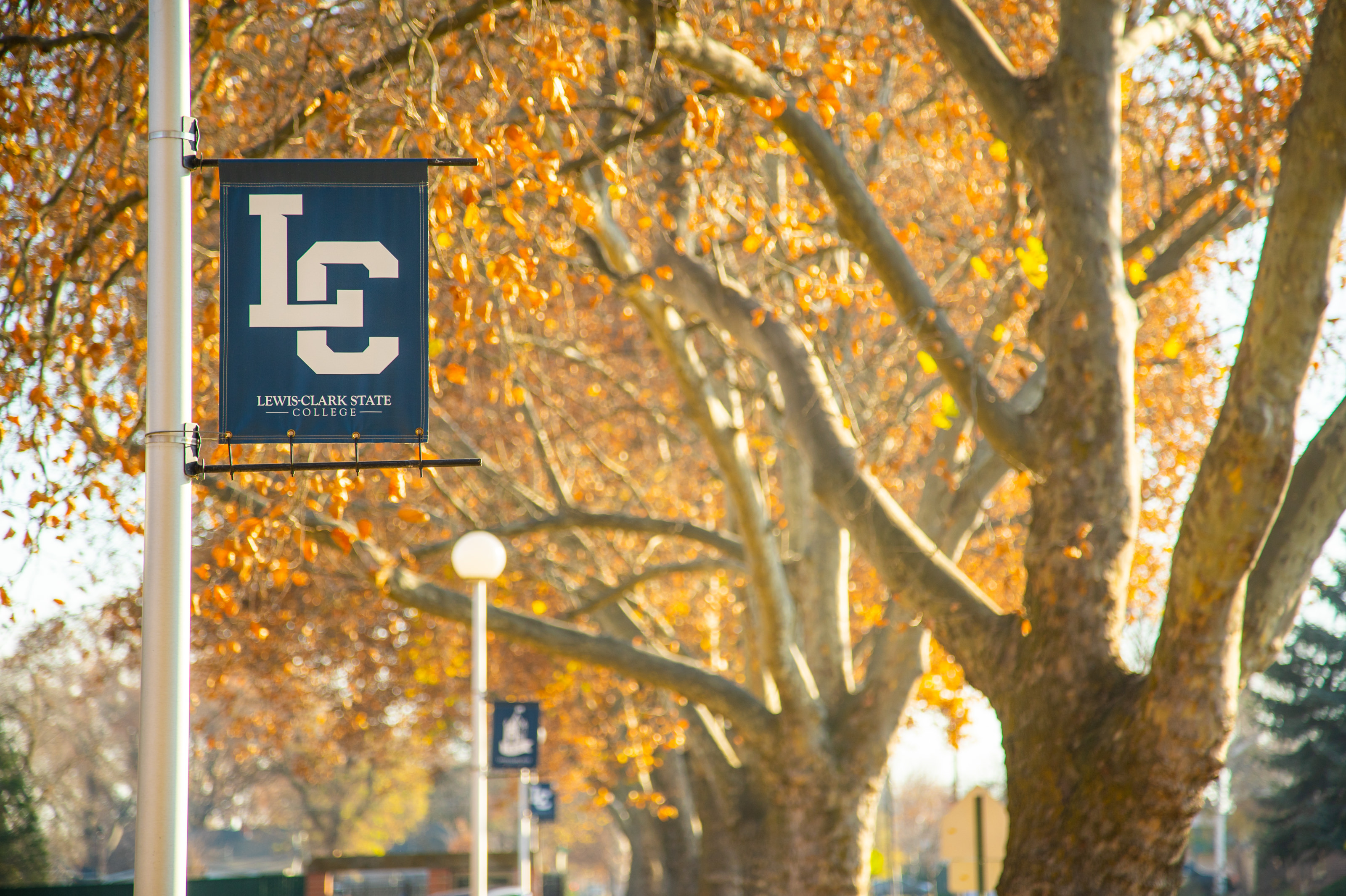 Human Resource Services LewisClark State