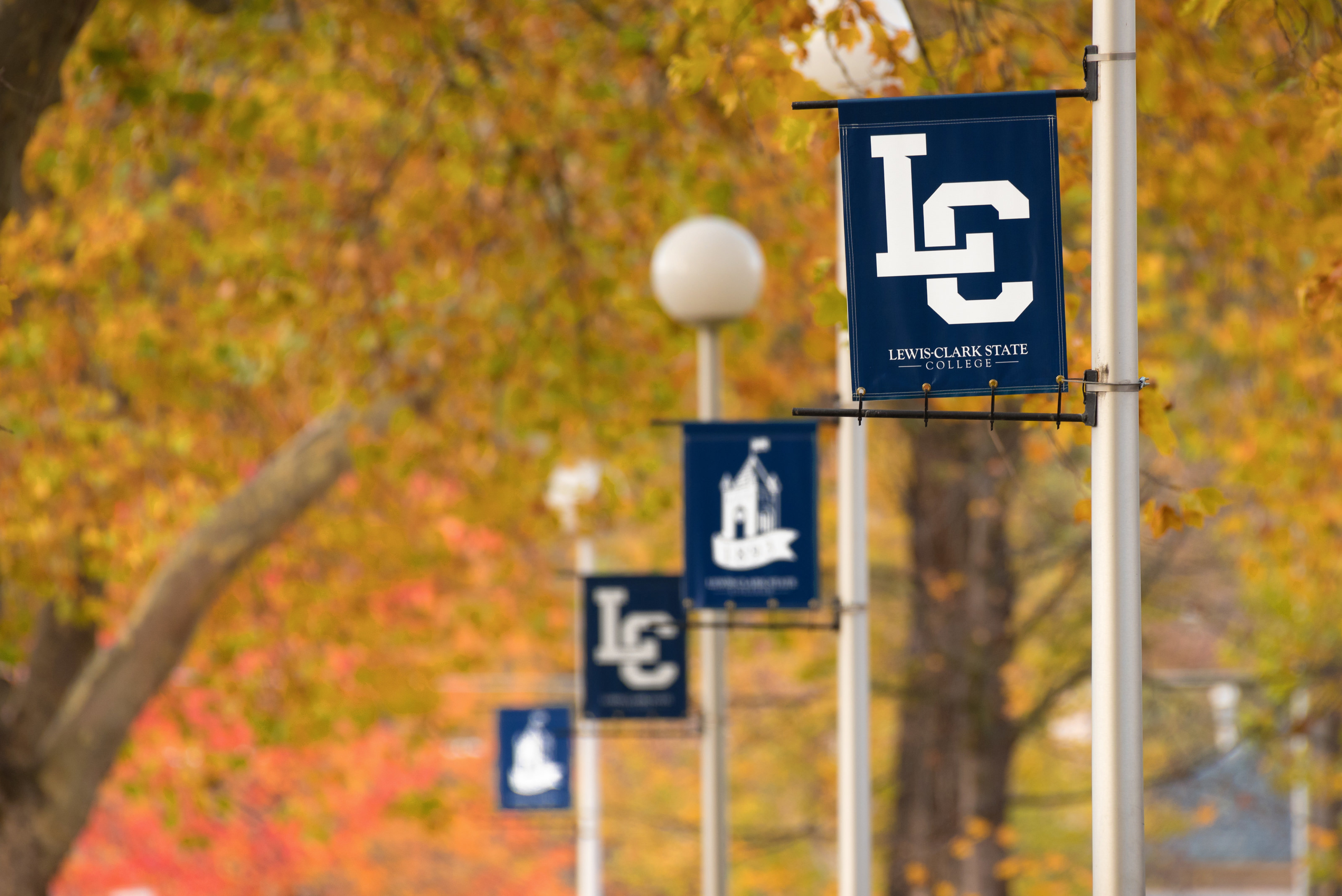 Library Services Library LewisClark State