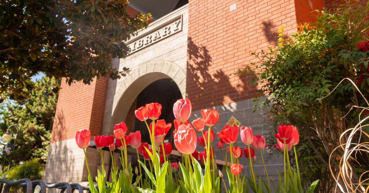 Library | Lewis-Clark State