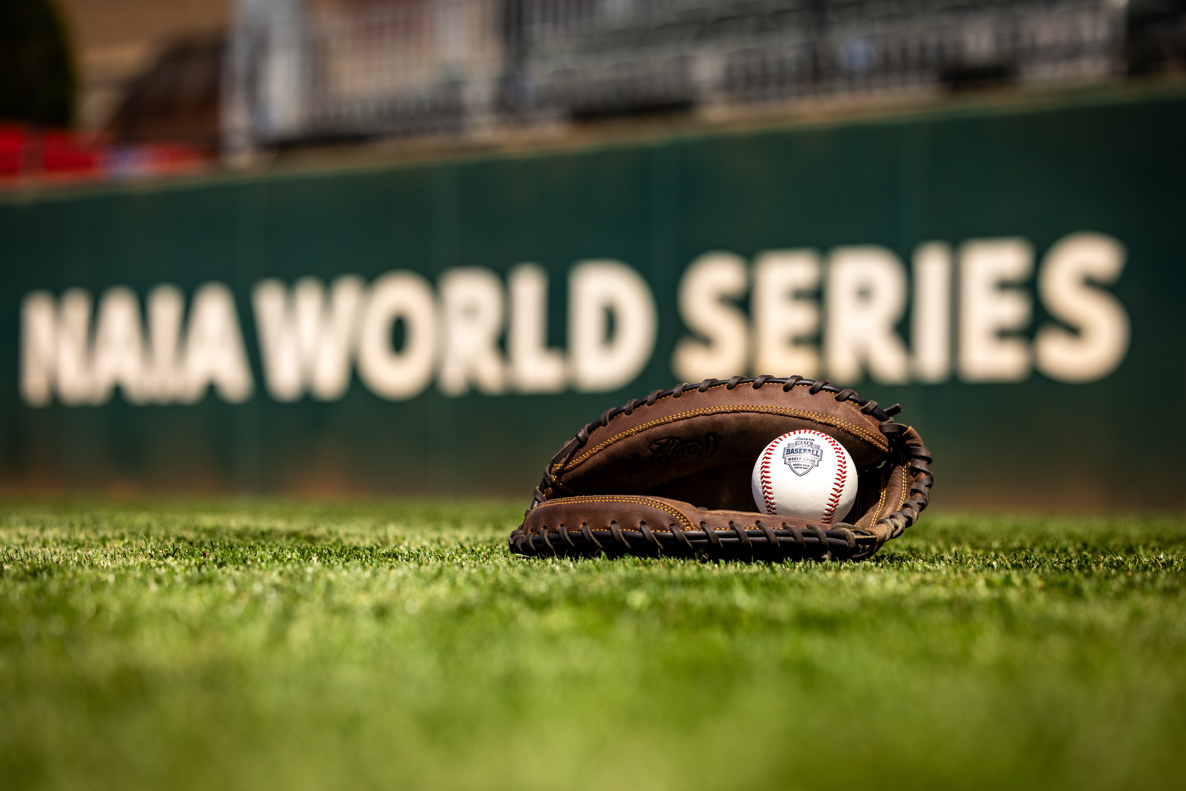 Baseball mitt with a ball in the glove