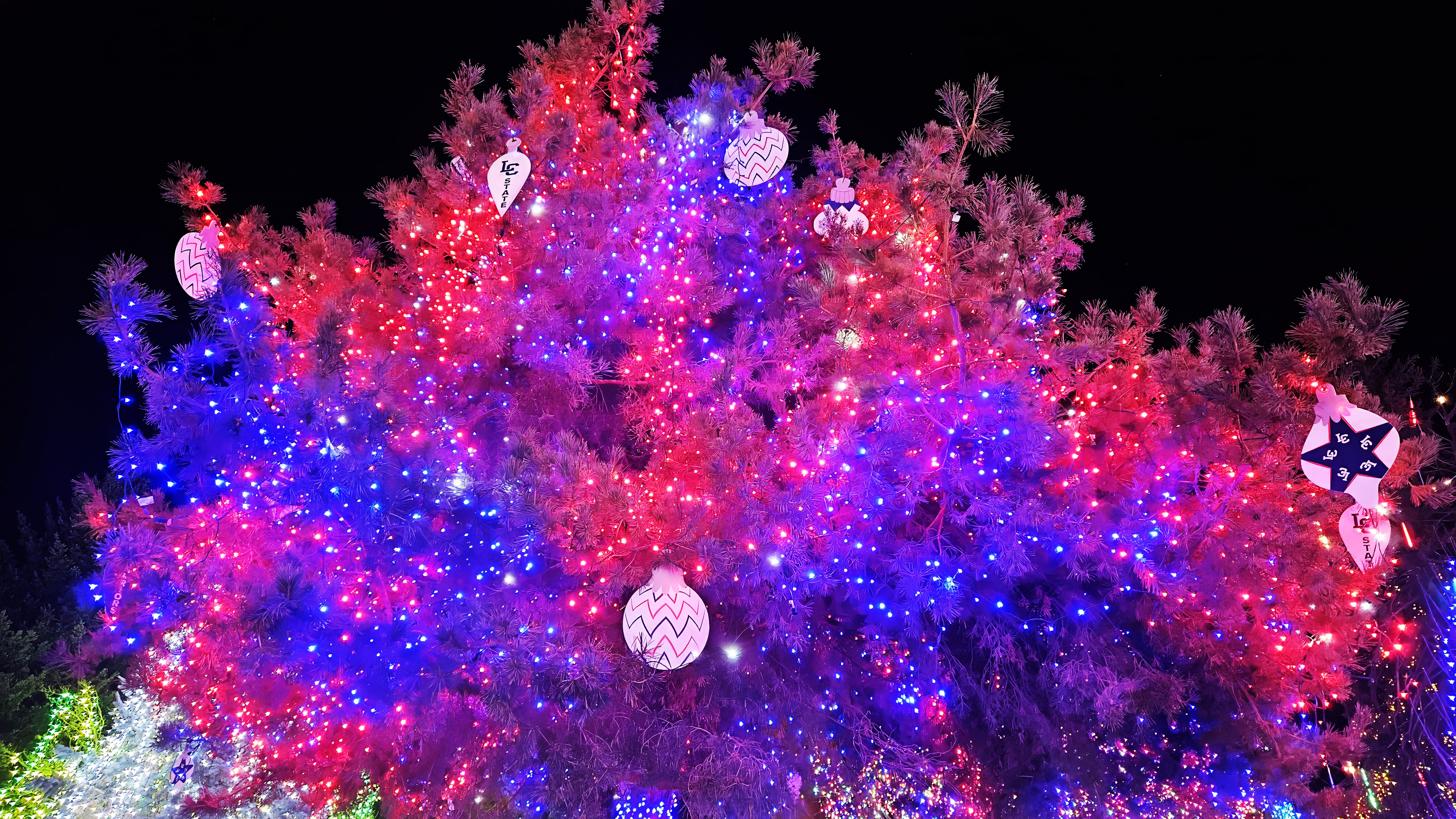 Tree decorated with Lewis-Clark State College ornaments and red and blue lights at Locomotive Park