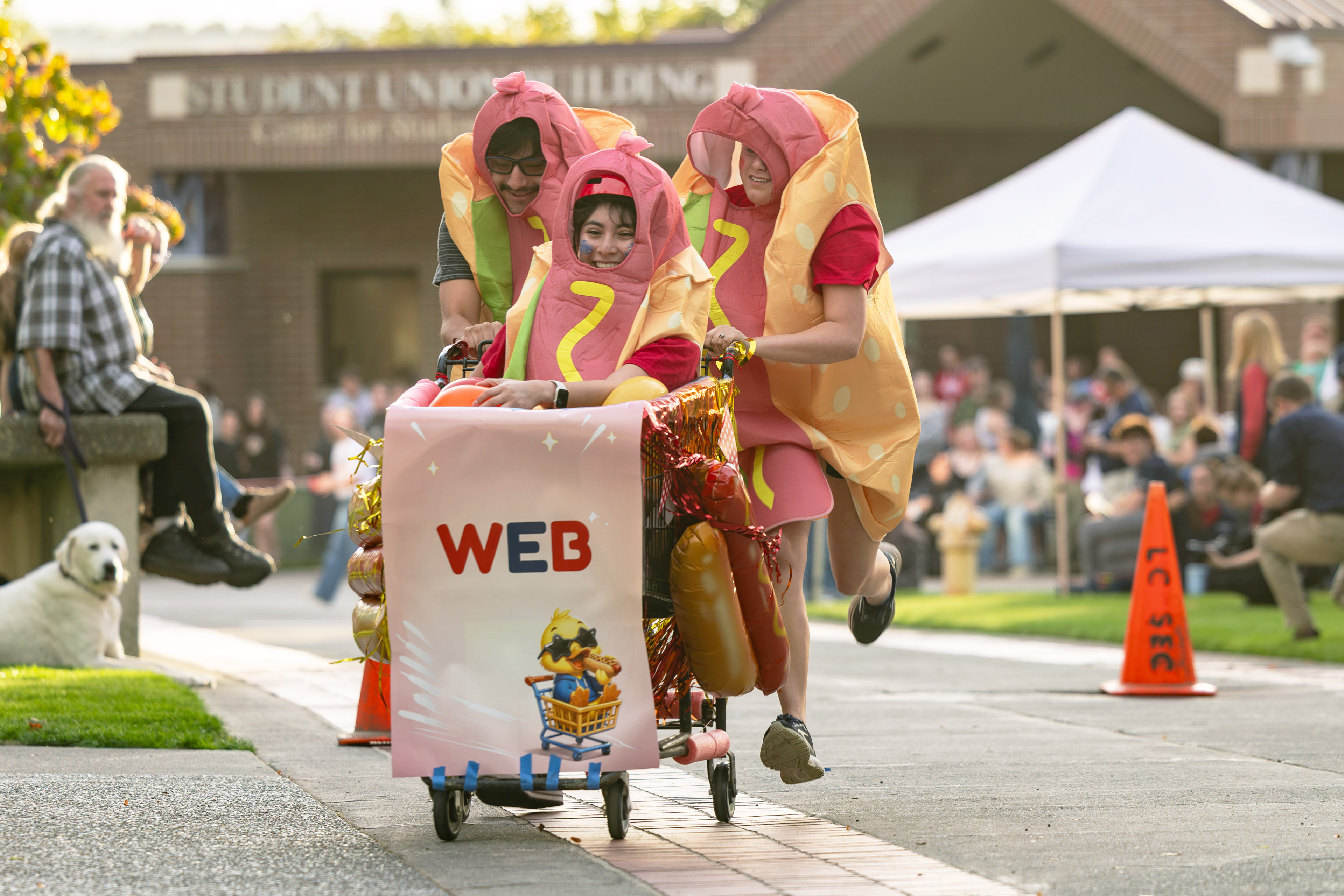 Shopping cart races 