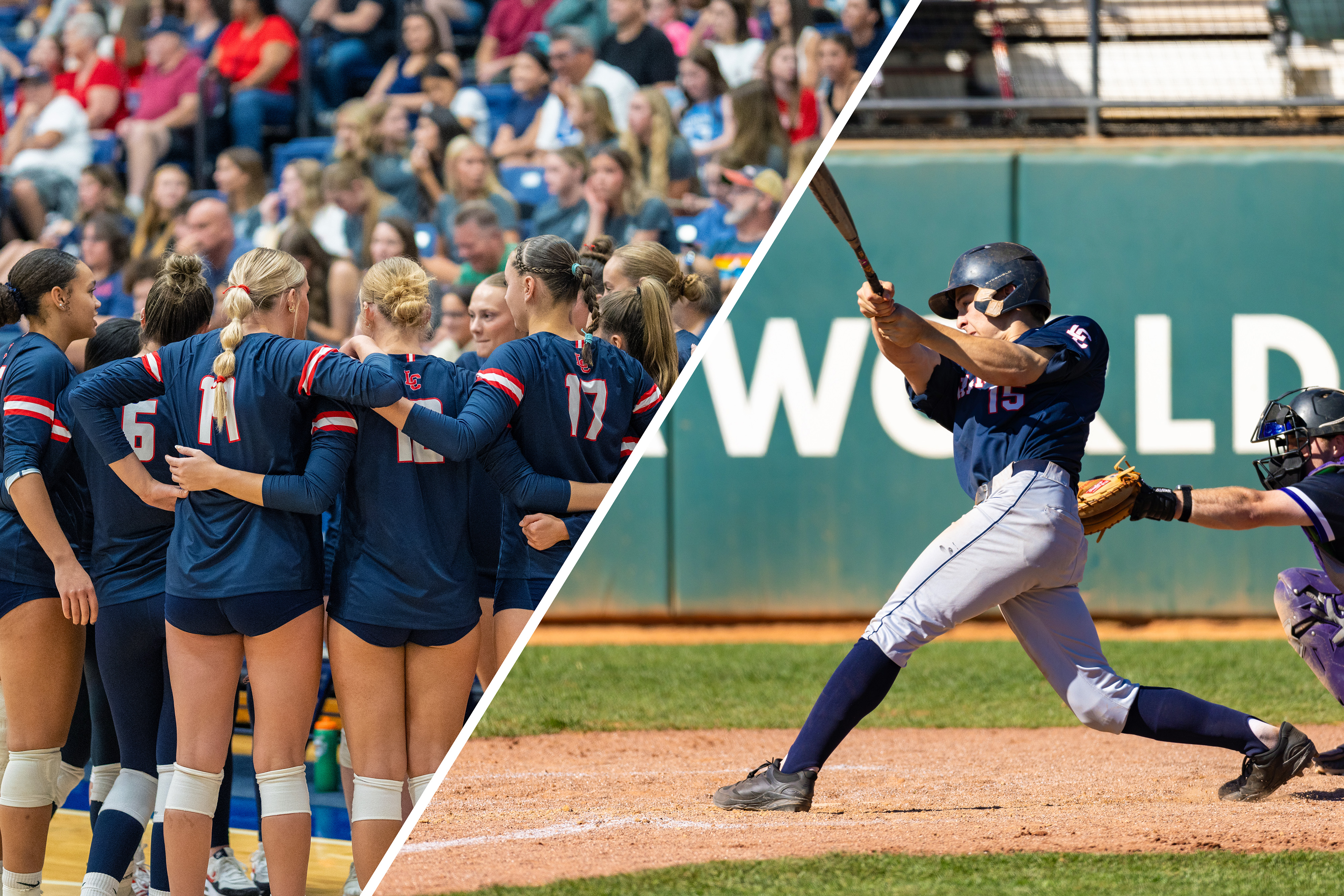 This collage shows the LC State volleyball team and baseball players 